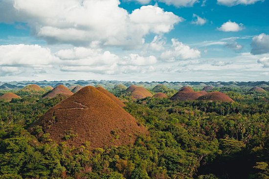 Chocolate Hills