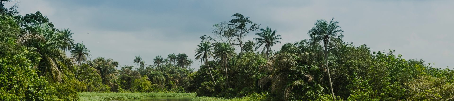 Côte d'Ivoire