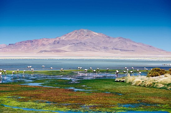 San Pedro de Atacama