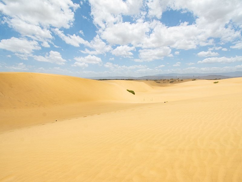 Parc national Los Médanos de Coro