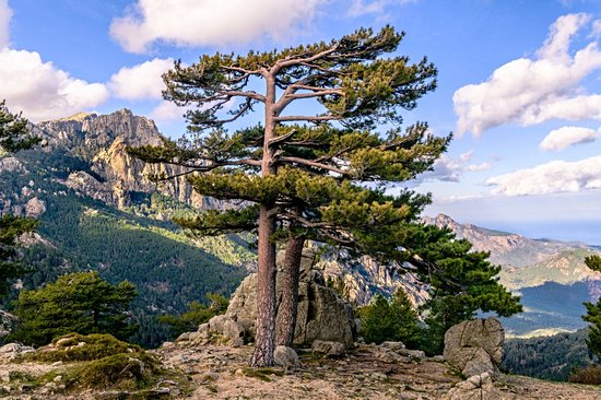Monte Cinto