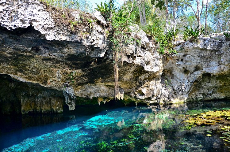 Découvrir les cenotes