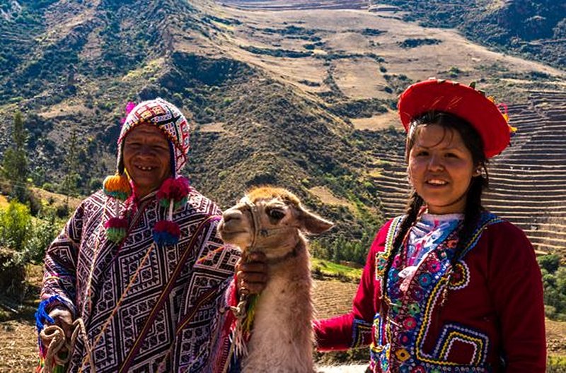 Voir des lamas