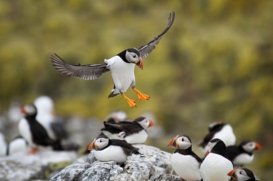 Lundy Island