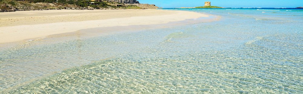 Sur la pointe nord - La Pelosa