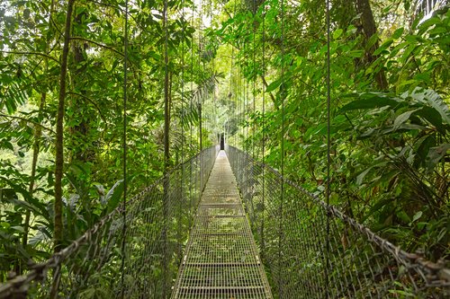 Découvrir la flore du Costa Rica