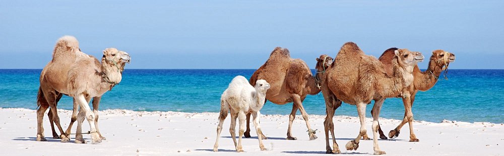 Les plages de Kélibia