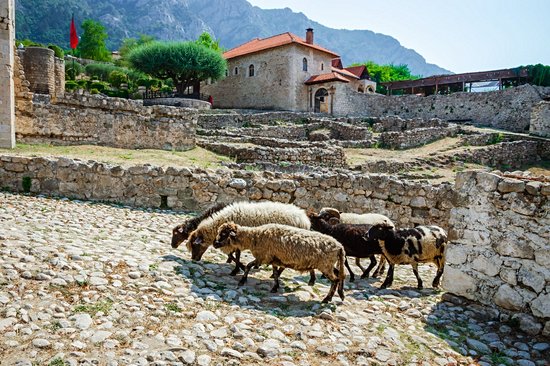 Krujë