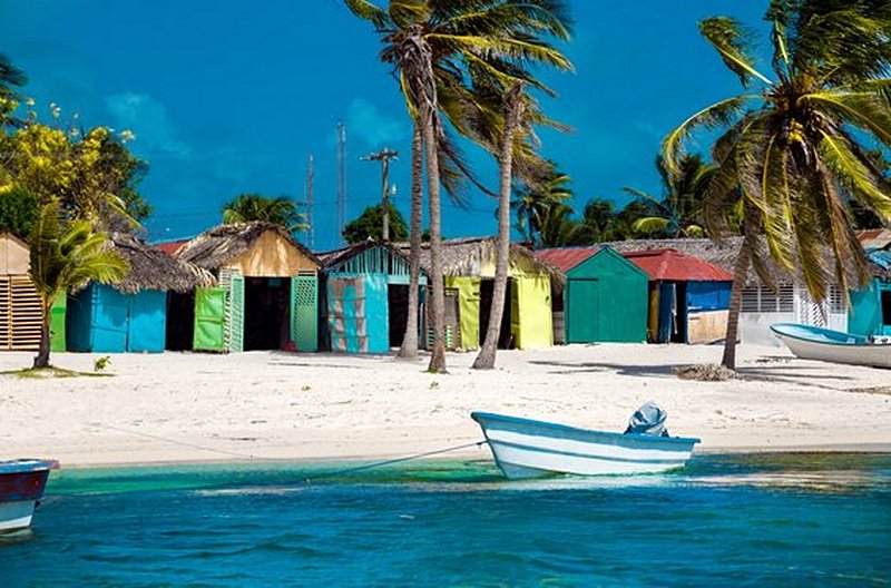 Se détendre sur les plages paradisiaques de Saona