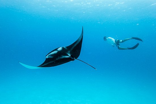 Baa Atoll