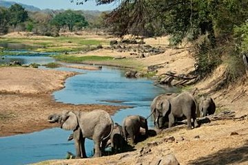 Parc national de Ruaha