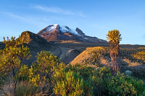 Parc national de Los Nevados