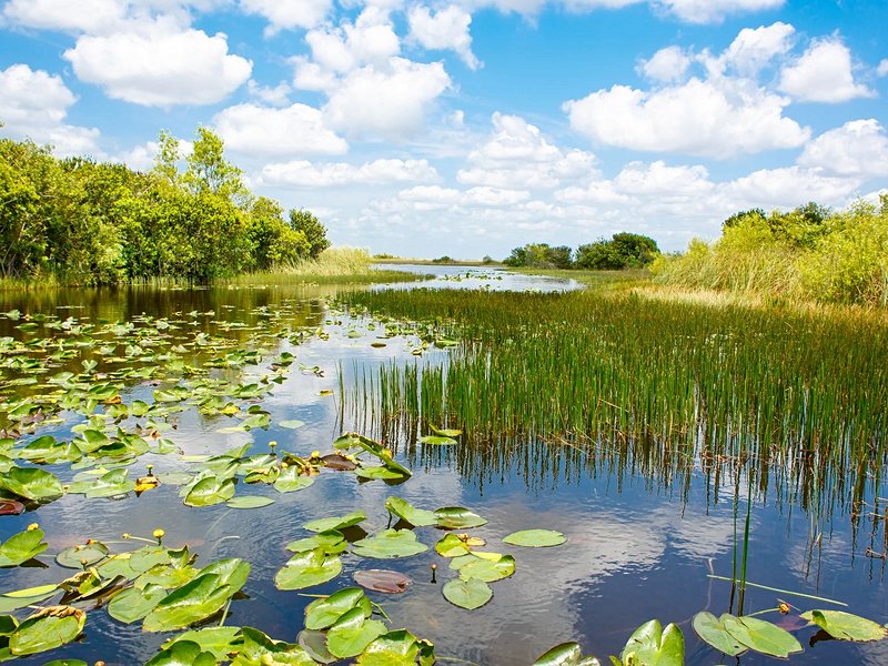 Floride