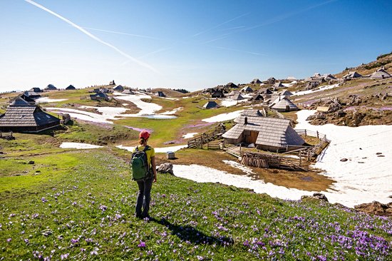Velika Planina