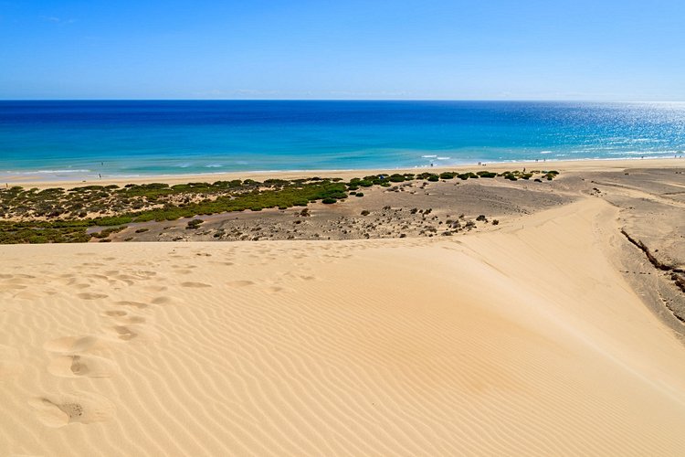 La plage de Sotavento 3