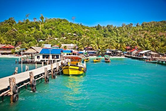 Dire bonjour aux poissons de la côte en snorkeling 