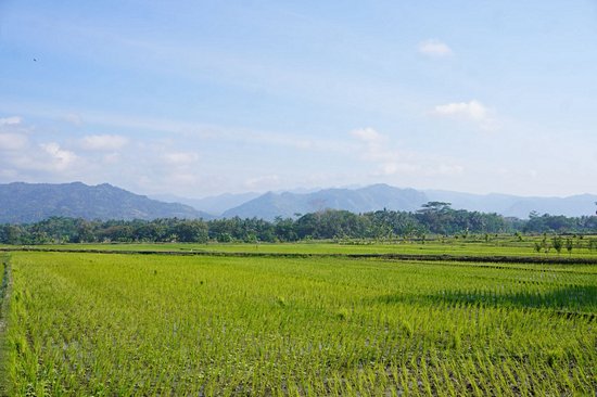 Autour de Yogyakarta (Java)