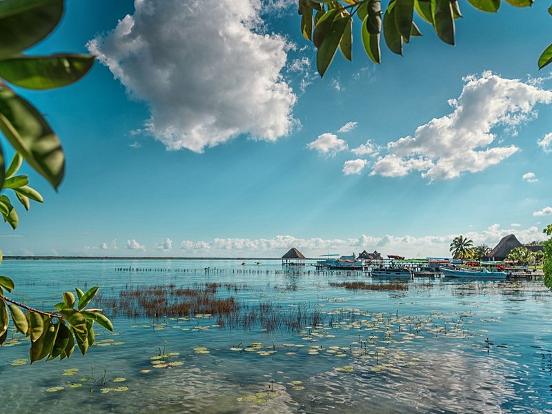 Bacalar
