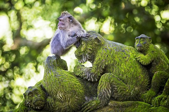 Ubud