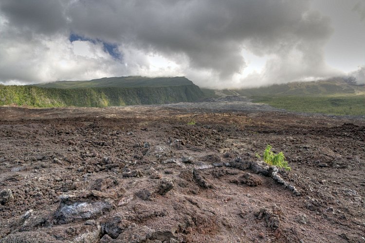 Le Grand Brûlé et la route des laves