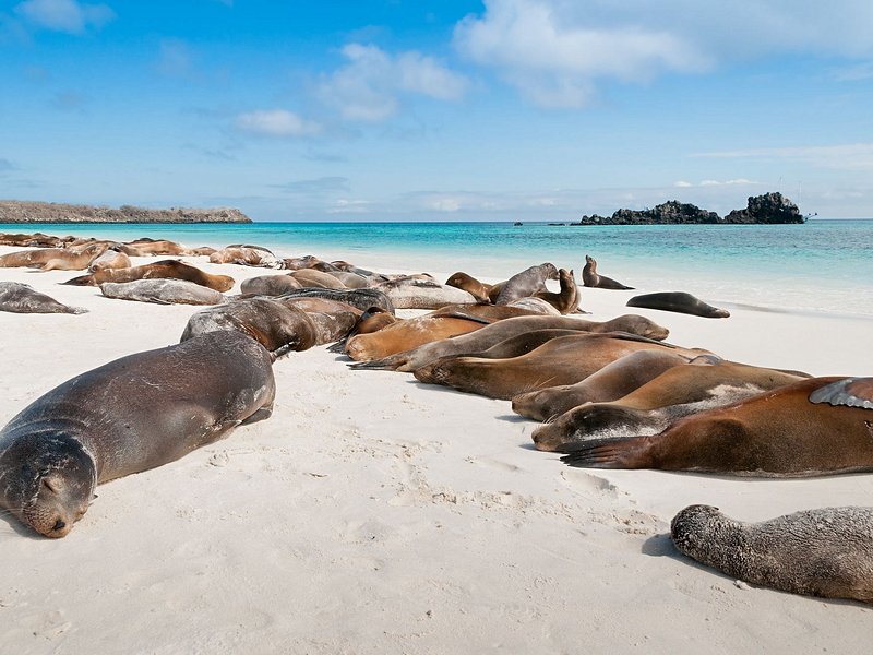 Îles Galápagos