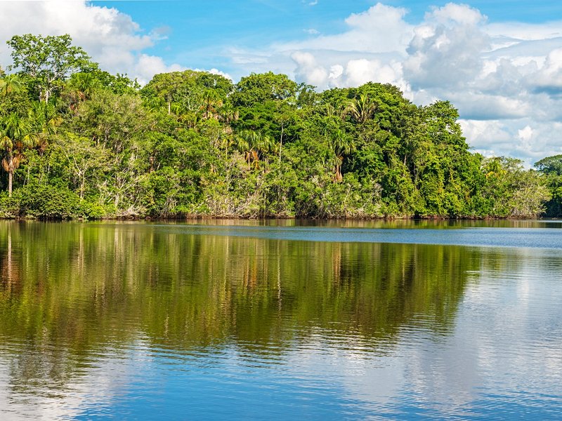Amazonie colombienne