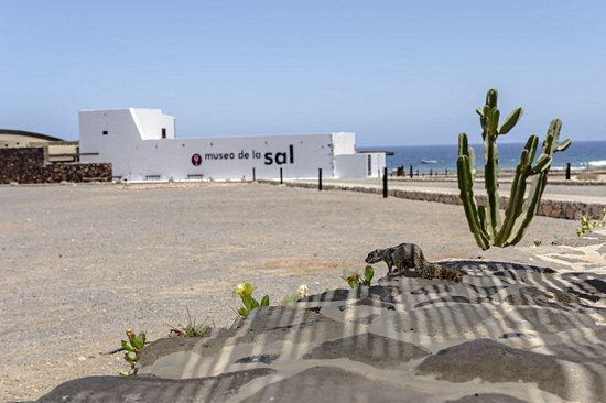 Musée des Salines
