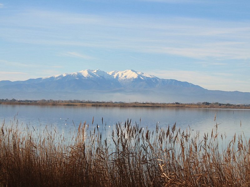 Canet-en-Roussillon