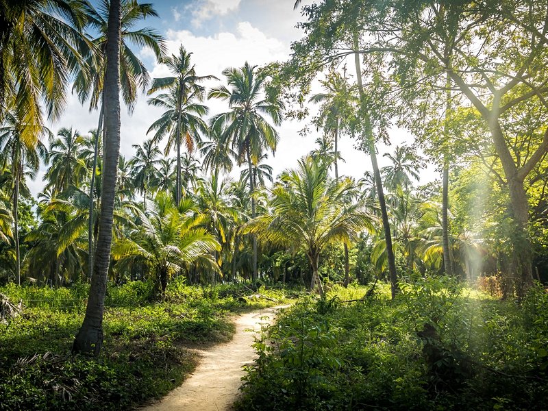 Parc national de Tayrona