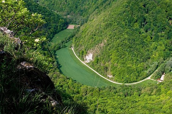 Parc régional de Kozjanski