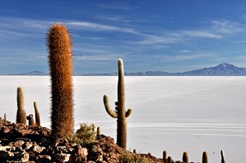 Salar d'Uyuni