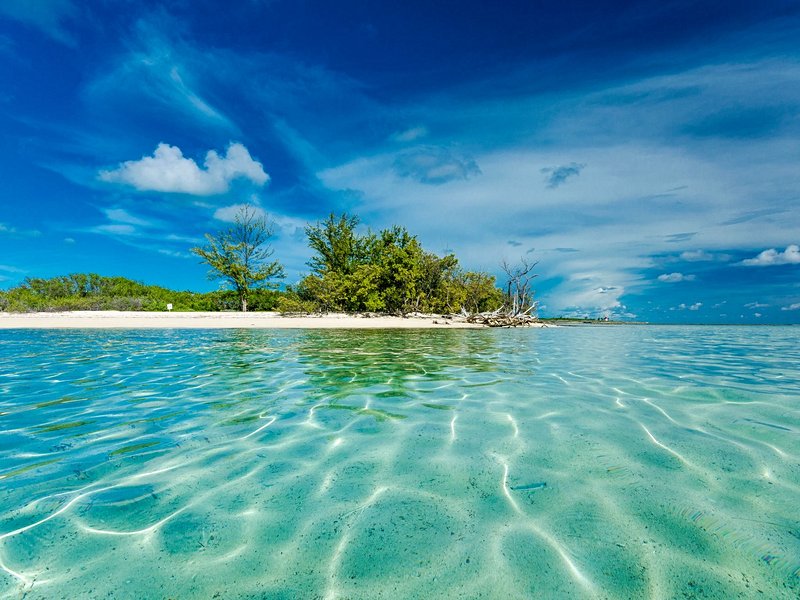 Bimini