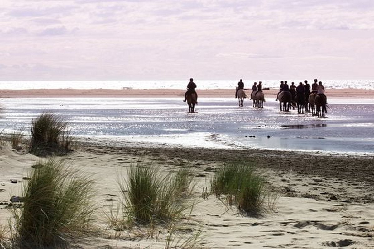 Chevaucher entre plage et marais