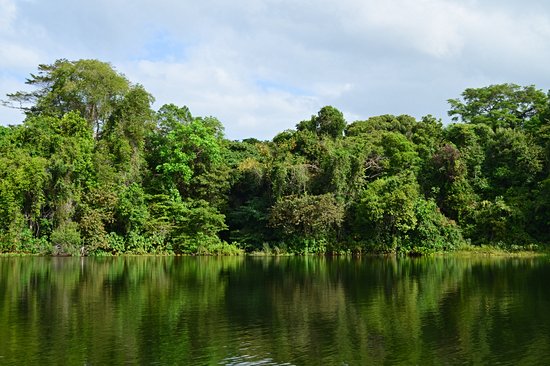 Lac Gatún