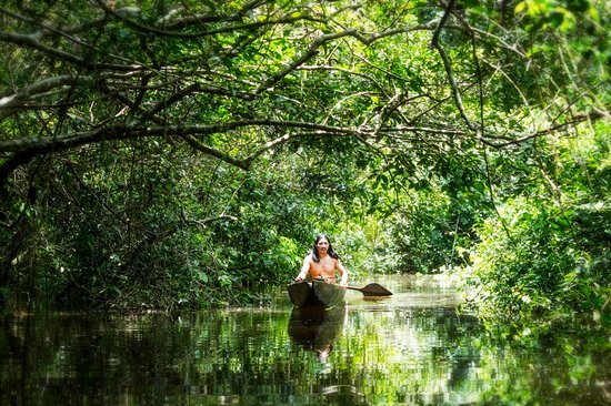 Réserve écologique Manglares Churute