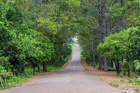 Parc national de Kirirom