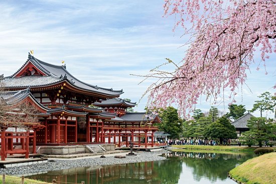 Uji