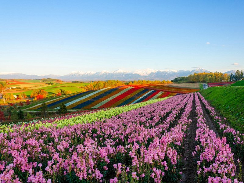 Hokkaido