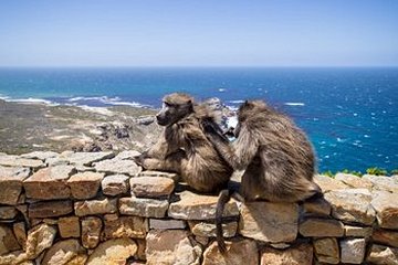 Cap de Bonne-Espérance