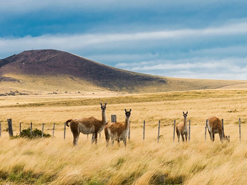 La Pampa