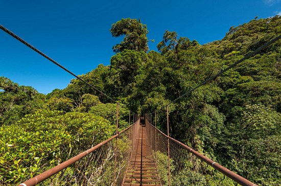 Chiriqui