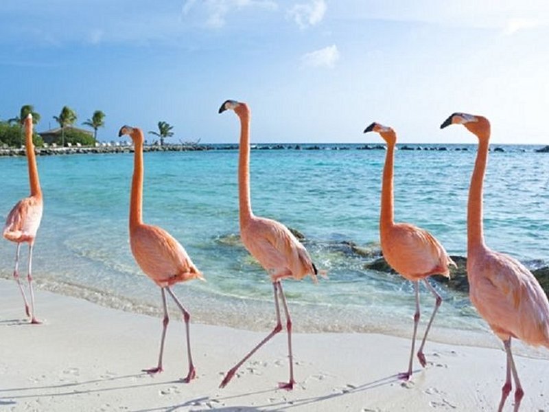 Parc national d'Inagua