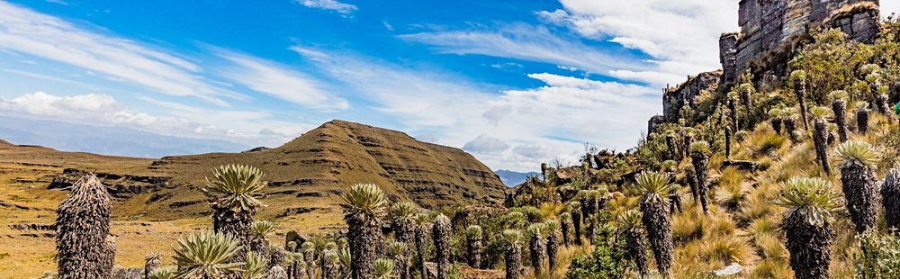 Paramo de Océta