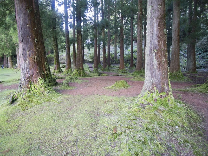 Lagoa das Patas