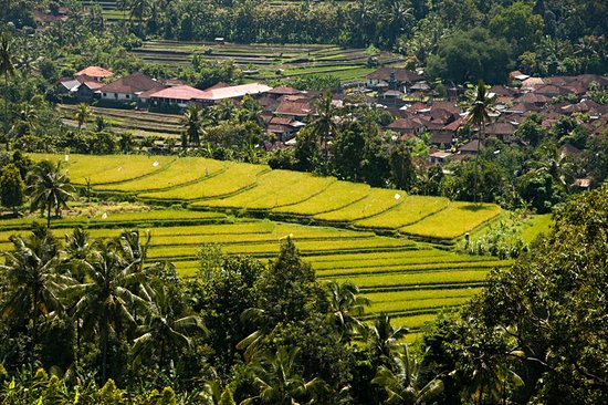 Munduk