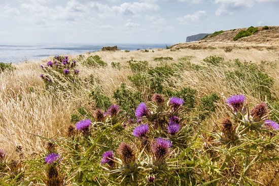 L’île de Gozo