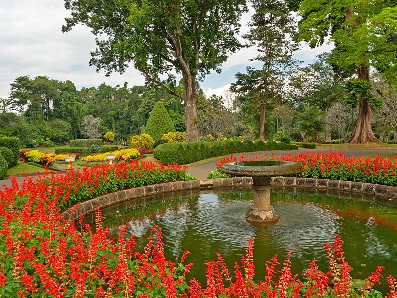Jardin botanique de Peradeniya