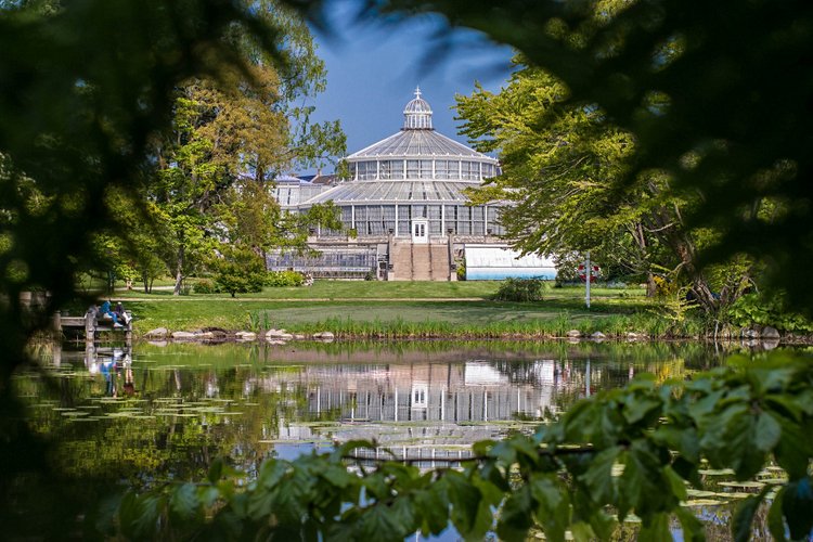 Le jardin botanique 2