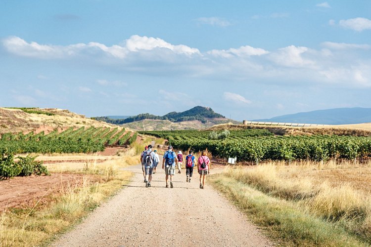 Route des vins Rioja - Espagne