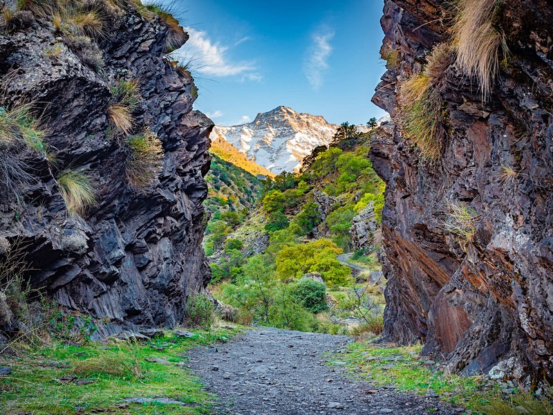 La Sierra Nevada